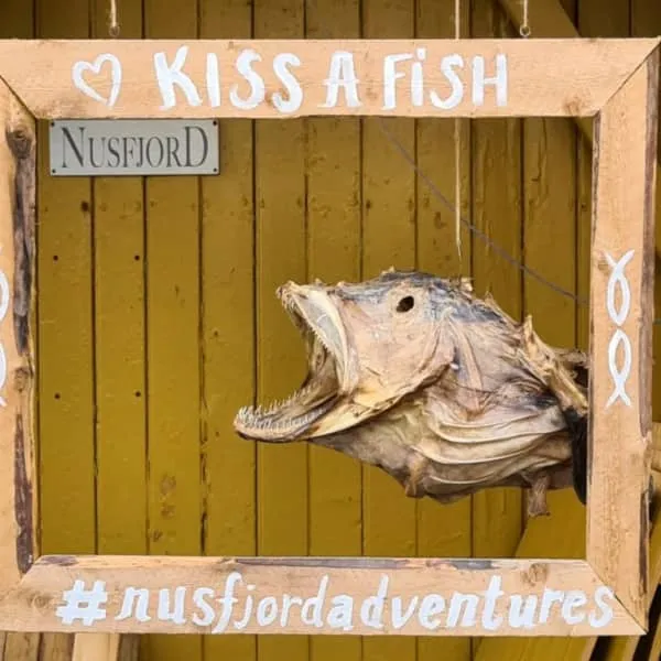 Stockfisch aus der Nähe