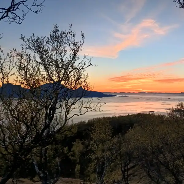 Morgenstimmung und Sonnenaufgang über Bodø mit Blick Richtung Landegode