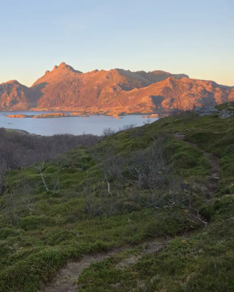 Schmaler Wanderpfad zwischen arktischen Beerensträuchern mit Blick auf das Naturreservat Nykvåg