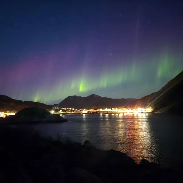 Grüne Nordlichter über der Küste der Vesterålen im Oktober